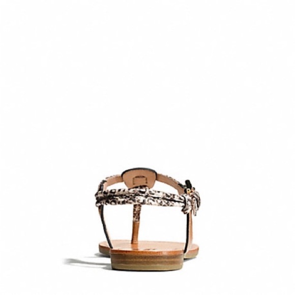 Coach Tan and Brown Snakeskin T-Strap Sandals with Gold Hardware - Picture 3 of 8